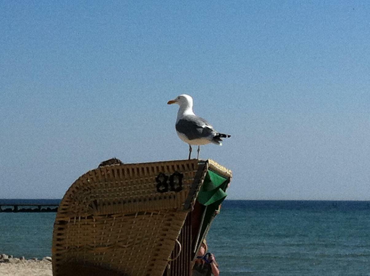 Sonnentraum In Bester Lage Fehmarn Bagian luar foto